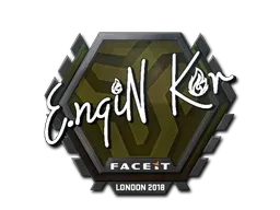 Skin's image
