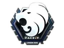 Skin's image