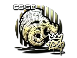 Skin's image