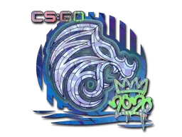 Skin's image