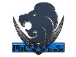 Skin's image