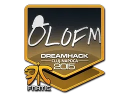Skin's image