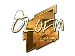 Skin's image