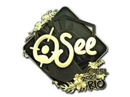 Skin's image