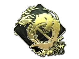 Skin's image