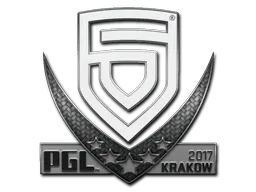 Skin's image