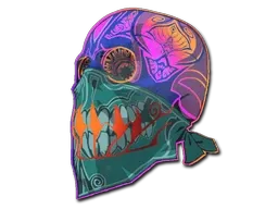 Skin's image