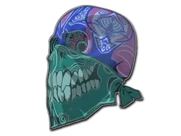 Skin's image