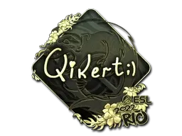 Skin's image