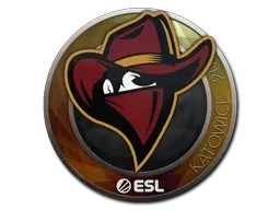 Skin's image