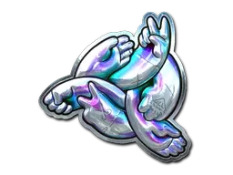 Skin's image