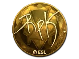 Skin's image
