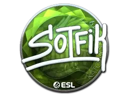 Skin's image