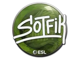 Skin's image