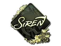 Skin's image