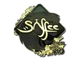 Skin's image