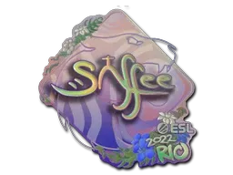 Skin's image