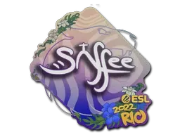 Skin's image