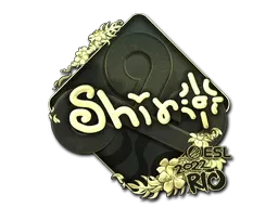 Skin's image