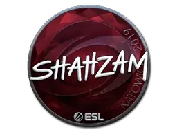 Skin's image