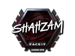 Skin's image
