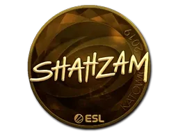 Skin's image
