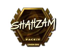 Skin's image
