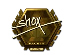 Skin's image