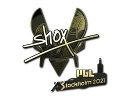 Skin's image