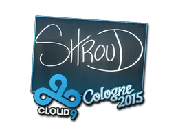 Skin's image