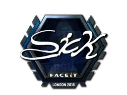 Skin's image