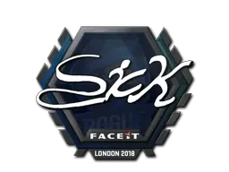 Skin's image
