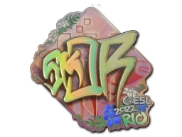 Skin's image