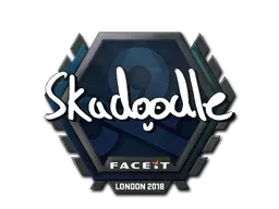 Skin's image