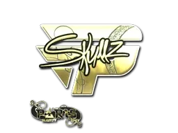 Skin's image