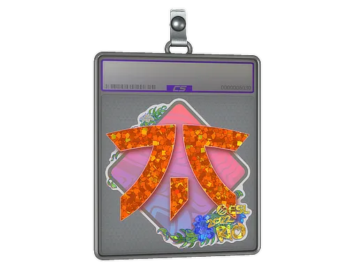 Sticker Slab | Fnatic (Glitter) | Rio 2022