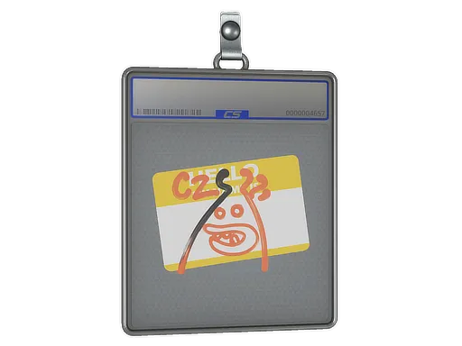 Sticker Slab | Hello CZ75-Auto