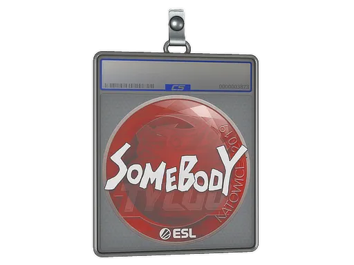 Sticker Slab | somebody | Katowice 2019