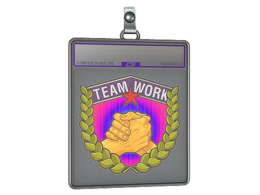 Sticker Slab | Teamwork (Holo)
