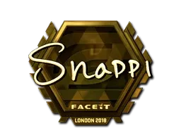Skin's image