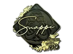 Skin's image