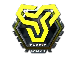 Skin's image
