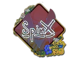 Skin's image