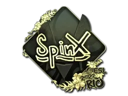 Skin's image