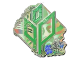 Skin's image