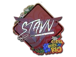 Skin's image