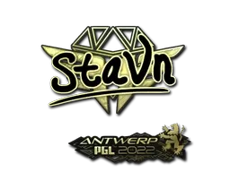 Skin's image
