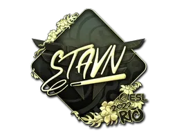 Skin's image