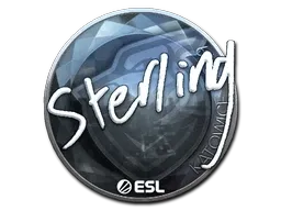 Skin's image