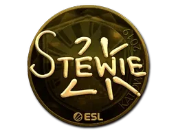 Skin's image